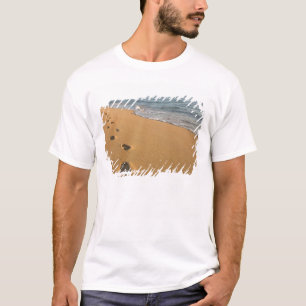 USA, Hawaii, Kauai, Kapa'a, beachfront. RF) T-Shirt