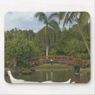 USA, Hawaii, Kauai, Smith Family Luau Garden Mouse Pad