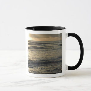 USA, Hawaii, Kauai, southwest coast, near Waimea Mug