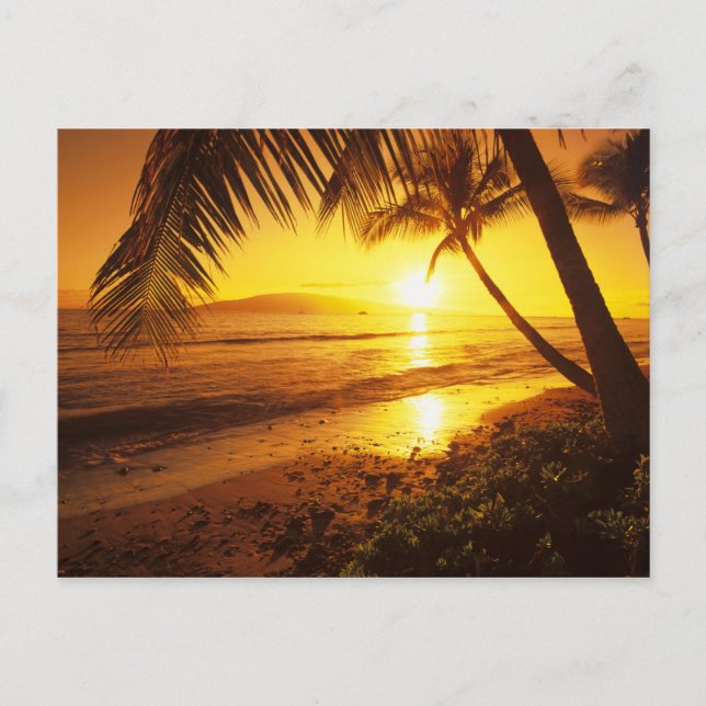 USA, Hawaii, Maui, Colourful sunset in a 2 Postcard (Front)