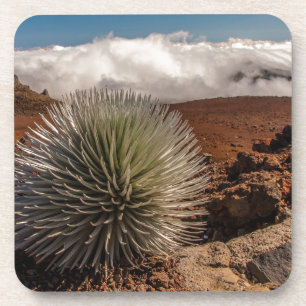 USA, Hawaii, Maui, Haleakala National Park Coaster