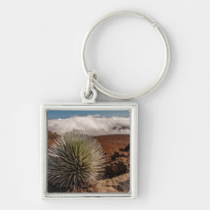 USA, Hawaii, Maui, Haleakala National Park Key Ring