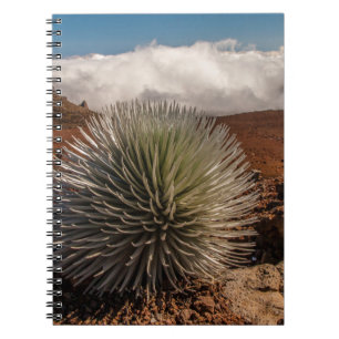 USA, Hawaii, Maui, Haleakala National Park Notebook