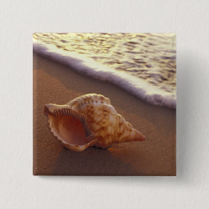 USA, Hawaii, Maui, Kihei, Evening light on 15 Cm Square Badge