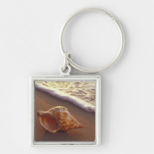USA, Hawaii, Maui, Kihei, Evening light on Key Ring