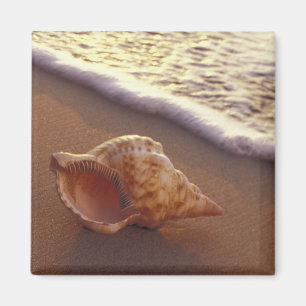 USA, Hawaii, Maui, Kihei, Evening light on Magnet
