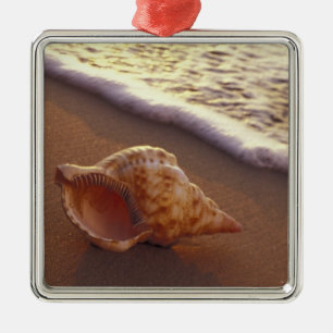 USA, Hawaii, Maui, Kihei, Evening light on Metal Ornament