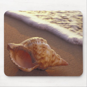 USA, Hawaii, Maui, Kihei, Evening light on Mouse Pad