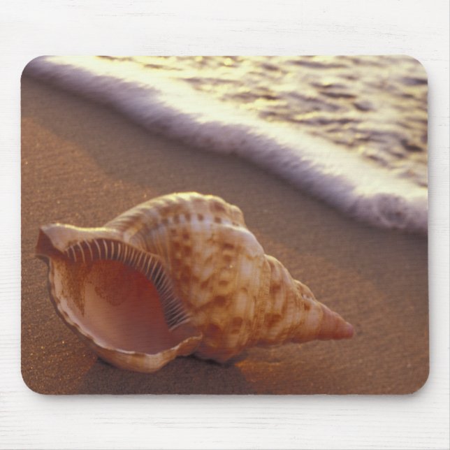 USA, Hawaii, Maui, Kihei, Evening light on Mouse Pad (Front)