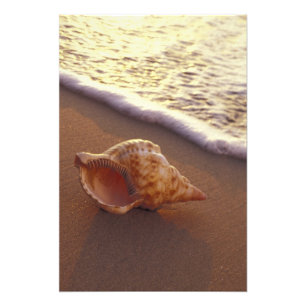 USA, Hawaii, Maui, Kihei, Evening light on Photo Print