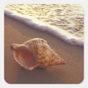 USA, Hawaii, Maui, Kihei, Evening light on Square Sticker