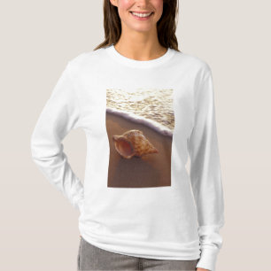 USA, Hawaii, Maui, Kihei, Evening light on T-Shirt