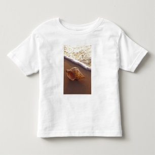 USA, Hawaii, Maui, Kihei, Evening light on Toddler T-Shirt