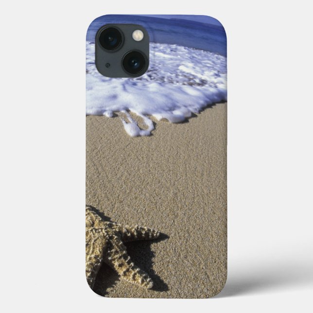 USA, Hawaii, Maui, Makena Beach, Starfish and Case-Mate iPhone Case (Back)