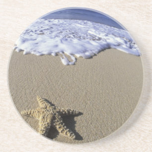 USA, Hawaii, Maui, Makena Beach, Starfish and Coaster