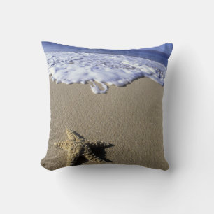 USA, Hawaii, Maui, Makena Beach, Starfish and Cushion