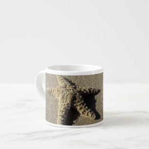 USA, Hawaii, Maui, Makena Beach, Starfish and Espresso Cup