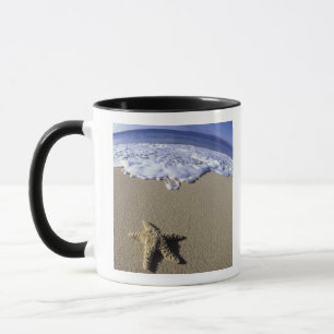 USA, Hawaii, Maui, Makena Beach, Starfish and Mug