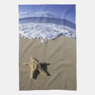 USA, Hawaii, Maui, Makena Beach, Starfish and Tea Towel