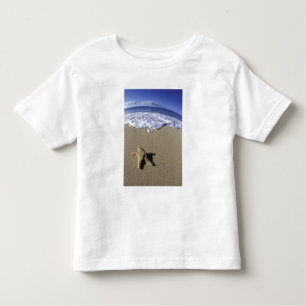 USA, Hawaii, Maui, Makena Beach, Starfish and Toddler T-Shirt