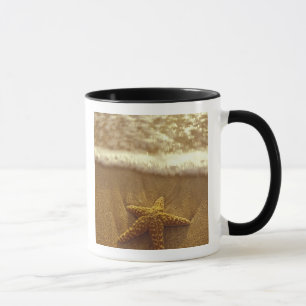 USA, Hawaii, Maui, Maui, Kihei, Starfish and Mug
