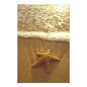 USA, Hawaii, Maui, Maui, Kihei, Starfish and Photo Print