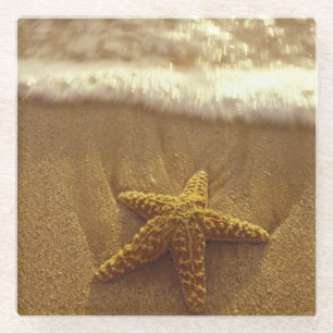 USA, Hawaii, Maui, Maui, Kihei, Starfish Glass Coaster