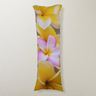 USA, Hawaii, Oahu, Plumeria flowers in bloom 1 Body Cushion