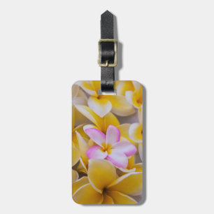 USA, Hawaii, Oahu, Plumeria flowers in bloom 1 Luggage Tag