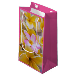 USA, Hawaii, Oahu, Plumeria flowers in bloom 1 Small Gift Bag