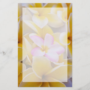 USA, Hawaii, Oahu, Plumeria flowers in bloom 1 Stationery