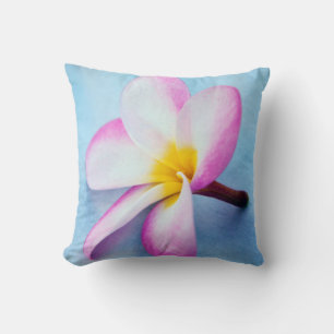 USA, Hawaii, Oahu, Plumeria flowers in bloom 2 Cushion