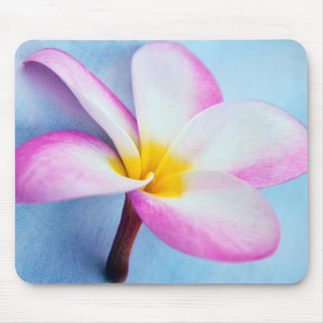 USA, Hawaii, Oahu, Plumeria flowers in bloom 2 Mouse Pad (Front)