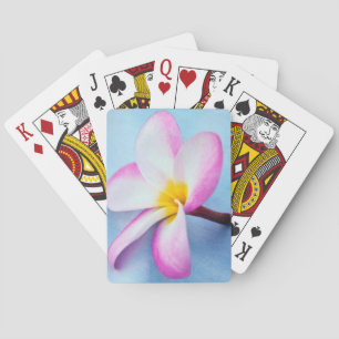 USA, Hawaii, Oahu, Plumeria flowers in bloom 2 Playing Cards