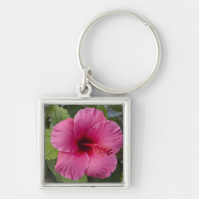 USA, Hawaii, Oahu. The Hibiscus is the 2 Key Ring (Front)