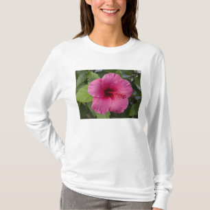 USA, Hawaii, Oahu. The Hibiscus is the 2 T-Shirt