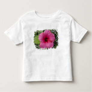 USA, Hawaii, Oahu. The Hibiscus is the 2 Toddler T-Shirt