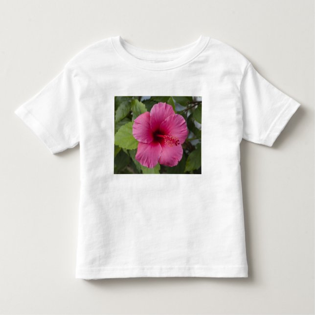 USA, Hawaii, Oahu. The Hibiscus is the 2 Toddler T-Shirt (Front)