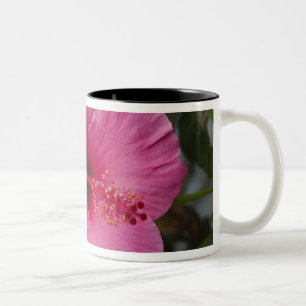 USA, Hawaii, Oahu. The Hibiscus is the 2 Two-Tone Coffee Mug