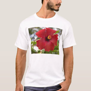 USA, Hawaii, Oahu. The Hibiscus is the T-Shirt