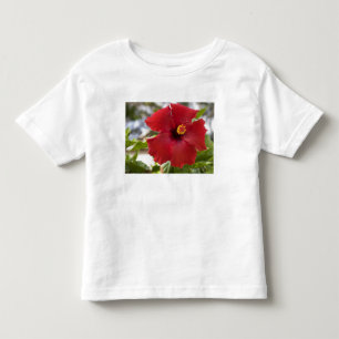 USA, Hawaii, Oahu. The Hibiscus is the Toddler T-Shirt