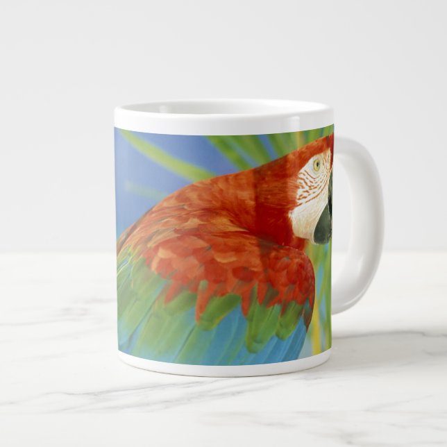 USA, Hawaii. Parrot Large Coffee Mug (Front Right)