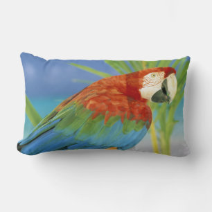 USA, Hawaii. Parrot Lumbar Cushion