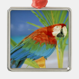 USA, Hawaii. Parrot Metal Tree Decoration