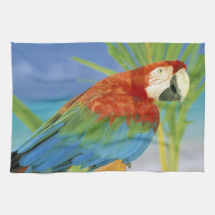 USA, Hawaii. Parrot Tea Towel