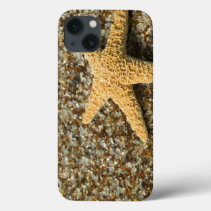 USA, HI, Kauai, Glass Beach with Star fish iPhone 13 Case