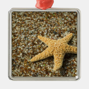 USA, HI, Kauai, Glass Beach with Star fish Metal Ornament