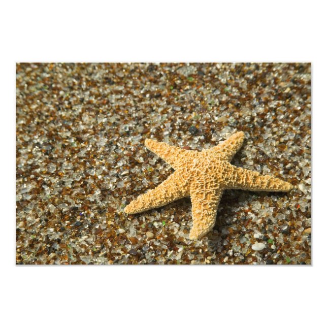 USA, HI, Kauai, Glass Beach with Star fish Photo Print (Front)