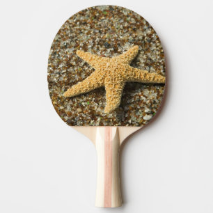 USA, HI, Kauai, Glass Beach with Star fish Ping Pong Paddle