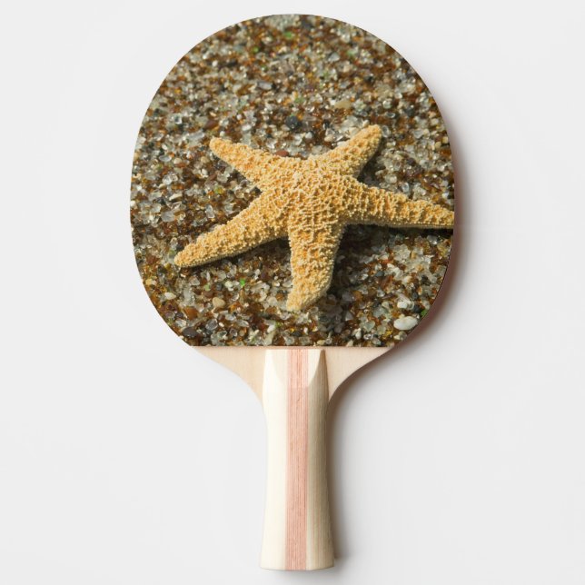 USA, HI, Kauai, Glass Beach with Star fish Ping Pong Paddle (Front)